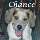 Chance. 2003-2015